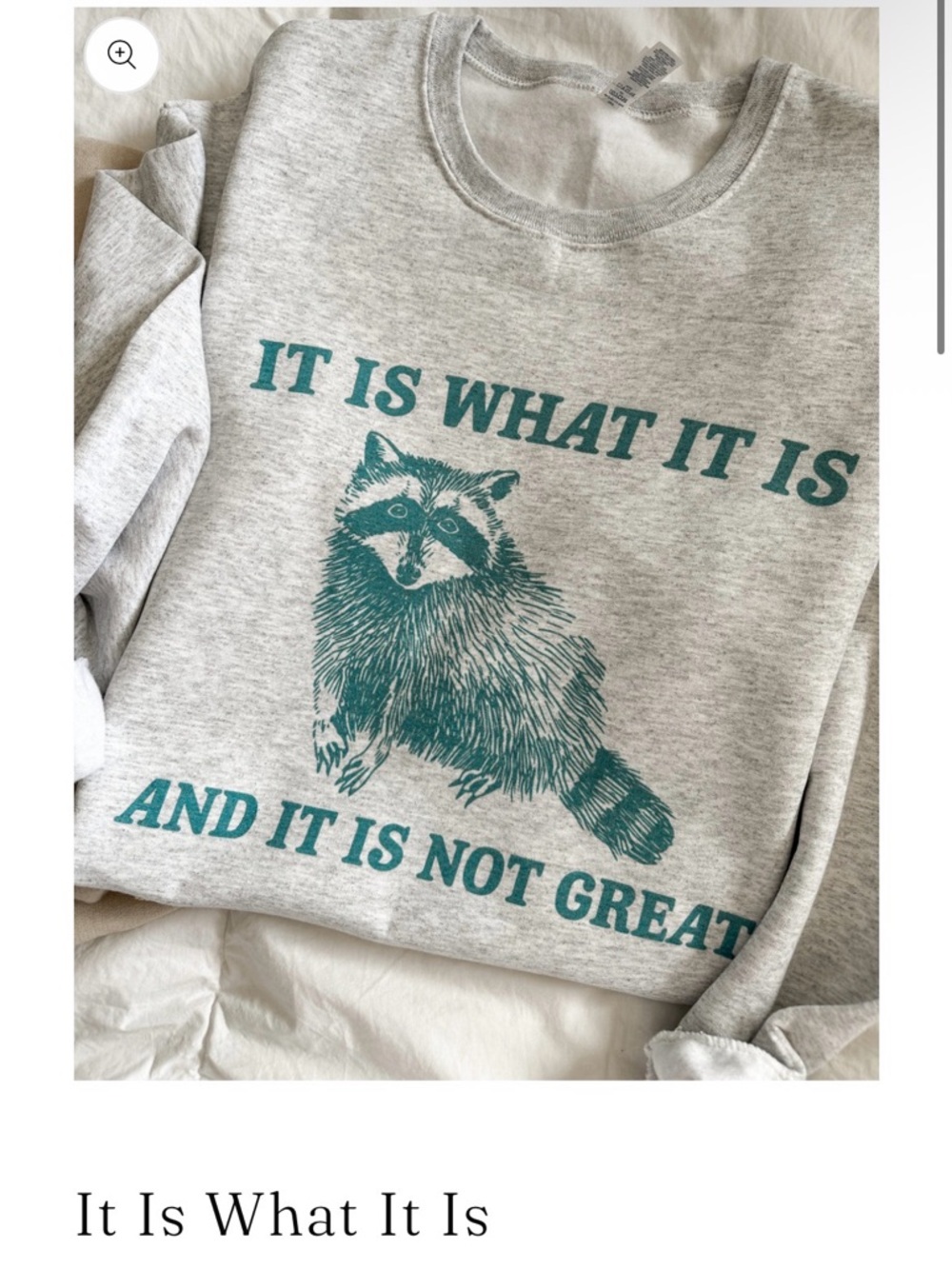 Gray Raccoon Graphic Sweatshirt - "It Is What It Is"